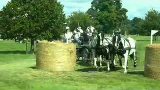 Pat Cooper carriage driving team at newby hall [upl. by Nyleve]