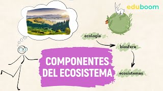 Componentes del ecosistema  Biología y Geología 3° ESO [upl. by Nodyroc]