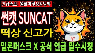 썬캣코인 SUNCAT  긴급속보 일론머스크 공식 트위터 X 언급 떡상 신고가 원화마켓 상장임박 필수시청 코미녀 [upl. by Raymonds]