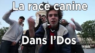 LA RACE CANINE  DANS LDOS PAROLES [upl. by Soirtemed189]