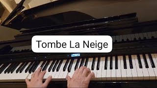 Salvatore AdamoTombe la neigePiano cover [upl. by Acinaj]