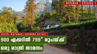 E1 Zostel Wayanad Stay  Budget Trip  Chembra Estates  Malayalam Vlog [upl. by Vocaay494]