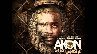 Akon  Used To Know Remix feat Gotye amp Money J amp Frost Konkrete Jungle [upl. by Trudie]