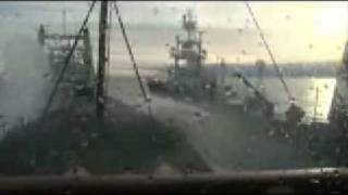 Ramming the Japanese whaling ship  Sea Shepherd [upl. by Anurb]