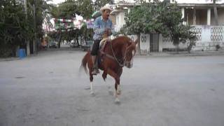 Don Jaime Nunez Pena  Caballos Bailando  Caballos de Rienda Charra [upl. by Ane]