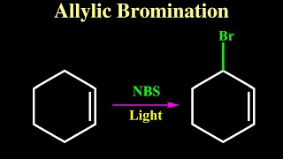 Allylic Bromination Reaction [upl. by Moonier20]