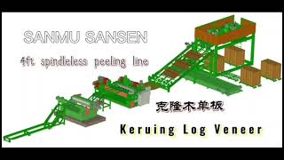 Automatic Plywood Core Veneer Production LineKeruing Core Veneer Peeling [upl. by Fairfield984]