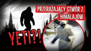 YETI  Cała prawa o przerażającym stworze z Himalajów [upl. by Kcirrag451]