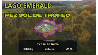 ⭐️LAGO EMERALD  PEZ SOL DE TROFEO ⭐️🐋 A PESCARLO FACIL🐋 [upl. by Bettine]