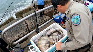 They Called the Game Warden on Us for Catching Too Many Sheepshead [upl. by Ednargel]