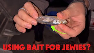 We Try Fishing Bait For Jewfish At Night  Shoalhaven River  Part 2 [upl. by Amice]