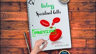 Specialised Cells [upl. by Nasaj]