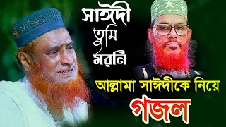 আল্লামা সাঈদী তুমি মরনি  গজল  Saidi Gojol  Allama Saidi Tumi Moroni  Sayeedi  বজলুর রশিদ মিয়া [upl. by Sackville878]