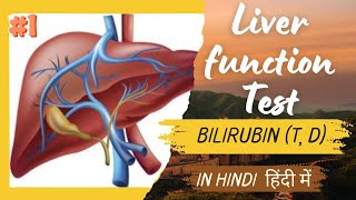 Liver function Test lft Bilirubin Test बिलिरुबिन टेस्ट पीलिया मतलब क्या हैलक्षण क्या है [upl. by Vittoria]