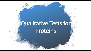 General Tests for Amino Acids Proteins  Discussion [upl. by Yodlem649]