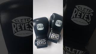 Elevate Your Fight with Cleto Reyes 🥊 [upl. by Sauncho811]