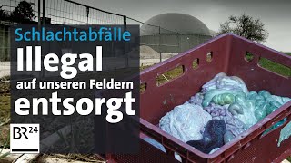 Kontrollversagen Schlachtabfälle auf bayerischen Feldern  Die Story  Kontrovers  BR24 [upl. by Ameerahs338]