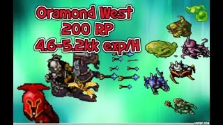 Tibia Oramond West  Best places to hunt for Royal Paladin [upl. by Harim887]