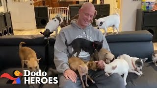 This Guys Addicted to Rescuing Chihuahuas  Dodo Heroes [upl. by Lejeune]