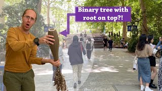 Operations on Binary Search Trees in C  Foundations of Algorithms 2023s1  Lecture 23 [upl. by Corso]