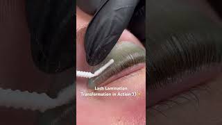 Watch Lash Lamination Transformations at Lash Boutique 🌊✨ capecodlife plymouthrock lashes [upl. by Innad494]