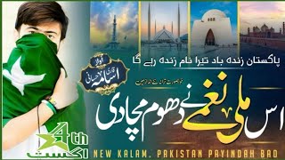 Ye Watan Tumhara Hai 🇵🇰  14 August Milli Naghma  independence Day  Qari Usama Hassani Official [upl. by Kleon]