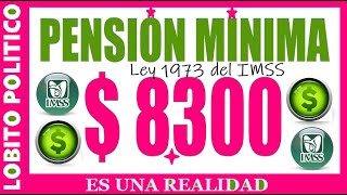 607💜PENSIÒN MÌNIMA GARANTIZADA IMSS LEY 1973 😃👍💲✅ méxico pension imss [upl. by Uttasta]