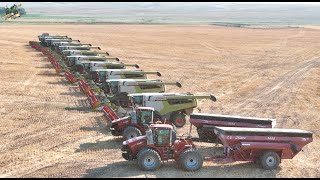 Colorado Wheat Harvest 2024 with 12 Claas Lexion Combines [upl. by Senilec356]