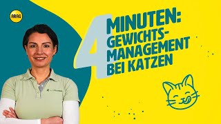 Gewichtsmanagement bei Katzen Übergewicht erkennen und bekämpfen [upl. by Wieche]