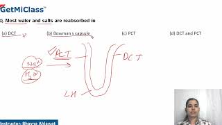 Water and salts reabsorbed [upl. by Anelas]