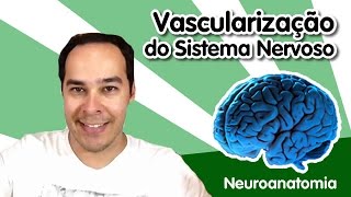 Neuroanatomia 11  Vascularização do Sistema Nervoso [upl. by Coombs734]