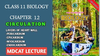 LAYERS OF HEART WALL  PERICARDIUM  CLASS 11 NEW BIOLOGY SINDH amp FEDERAL MDCAT LECTURE [upl. by Irihs]