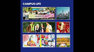 Study at BFSUIBS Enjoy Internationalized Faculty and Cultural Diversity studyinchina2025 BFSUIBS [upl. by Leban]