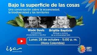 Bajo la superficie de las cosas [upl. by Fowler]