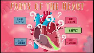 BW How the Heart responds to cardio and strength training [upl. by Aletha635]