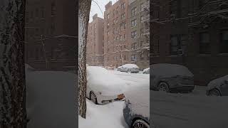 New York snow 2021 winter newyork white snow manhattan [upl. by Boothman226]