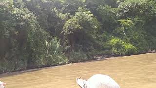 Cañón del sumidero Chiapas [upl. by Nodababus]