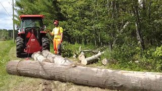 Cleaning up storm damage  Igland 3501 Skidding Winch in action [upl. by Ohl]