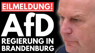 🚨SENSATION AfD ÜBERNIMMT MACHT IN BRANDENBURG ALTPARTEIEN KOCHEN VOR WUT🚨 [upl. by Aniuqal]