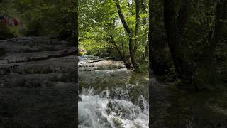 🇭🇷Plitvice Lakes National Park Croatia Walking Tour 2024 Croatia Walking Travel Shorts [upl. by Krongold468]