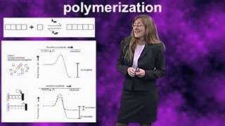 Actin polymerization  Julie Theriot Stanford [upl. by Magdala133]