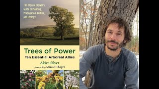 Tree University Akiva Silvers Trees of Power and the Mighty Chestnut [upl. by Ztnarf]