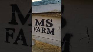 MS bee farm New location  honey bee farming beekeeping beefarming [upl. by Trumann]