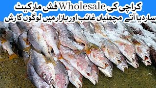 karachi wholesale fish market  Korangi fish market  Karachi Fishery [upl. by Gambell]