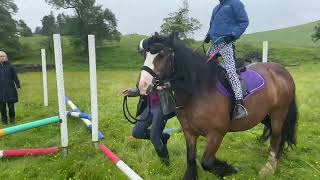 Eskdale pony club rally Sunday 16th July 2024 carlenrig [upl. by Cila437]