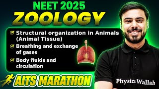 Complete ZOOLOGY in 1 Shot  NEET 2025  Part 1  Class 11th Arjuna  AITS Marathon [upl. by Asselim]