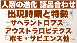 【語呂合わせ】人類の進化 サヘラントロプスラミダスアウストラロピテクスの分岐時期の覚え方 ヒト属（ホモ属）の語呂合わせ 生物の進化 ゴロ生物 [upl. by Anselmi877]