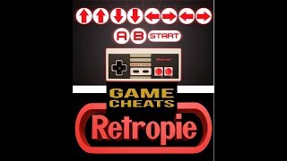 How to Enable Cheats on Your RetroPie 2018 [upl. by Delinda]