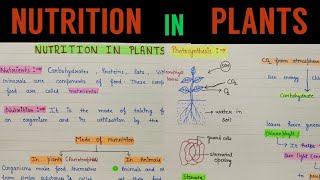 Nutrition in plants chapter 1 class 7  Nutrition in plants class 7  class 7 nutrition in plants [upl. by Nisior]