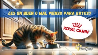 ROYAL CANIN ¿ES MAL PIENSO PARA GATOS👉 ANÁLISIS Y OPINONES SOBRE ESTA MARCA DE PIENSO PARA GATOS [upl. by Yednarb]